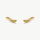Pendientes ascendentes oro Rio